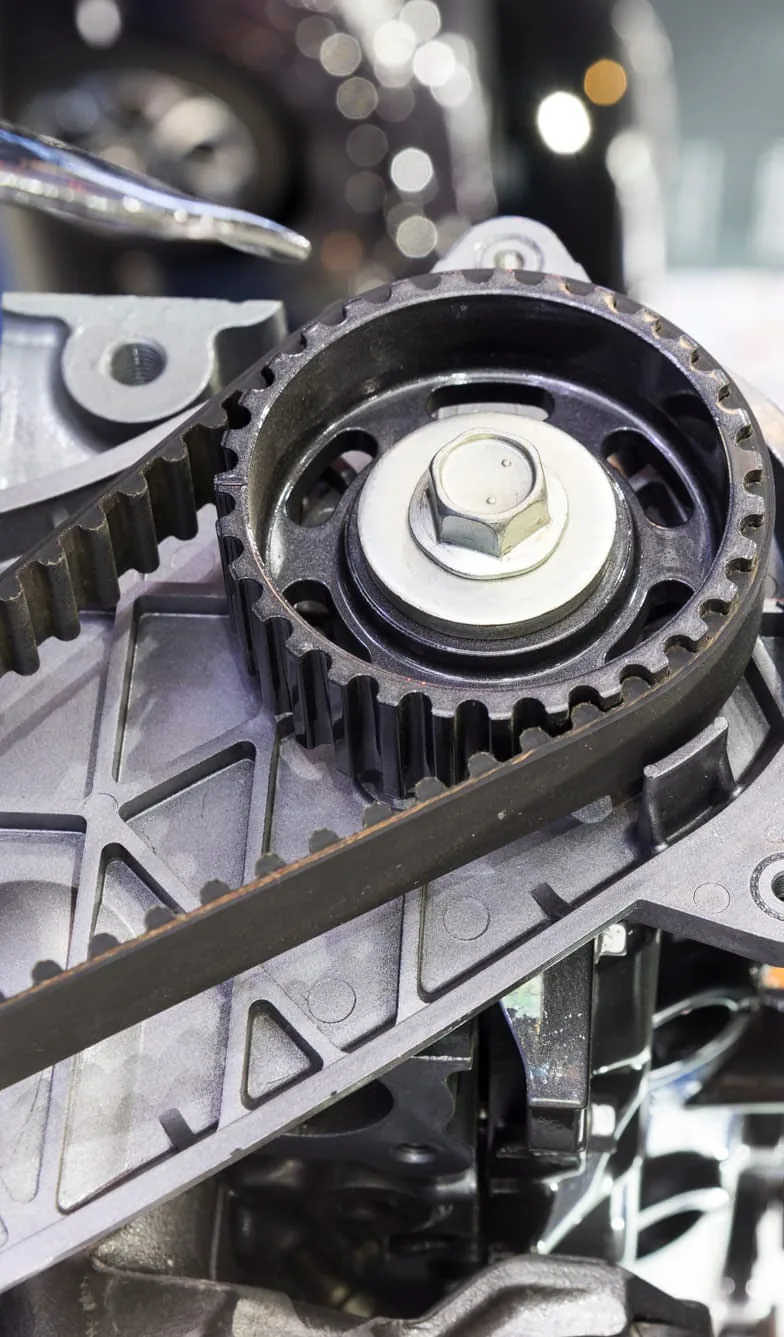 European car timing belt and pulley system during professional service repair